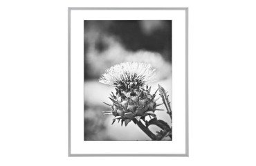 Cadre Profil - 70 x 100 cm