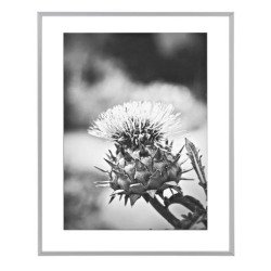 Cadre aluminium pour exposition - 70 x 100 cm