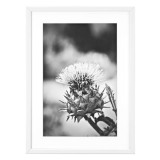 Cadre aluminium pour exposition - 70 x 100 cm