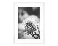 Cadre Profil - 70 x 100 cm