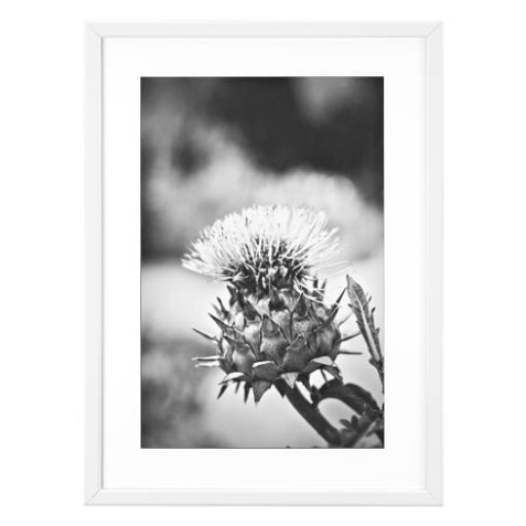 Cadre aluminium pour exposition - 70 x 100 cm