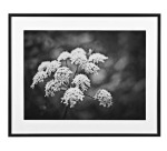 Cadre Profil - 70 x 100 cm