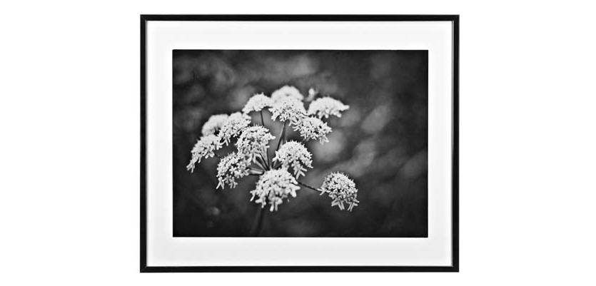 Kader voor Tentoonstelling - profiel 19 mm - L.70 x H.100 cm