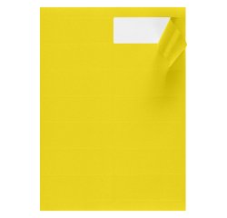 Doos 1400 etiketten gekleurd 99,1 x 38,1 mm