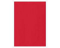 Etiqueta para inkjet y láser 210 x 297 mm color brillante - Caja de 100