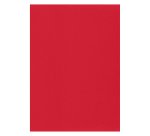 Etiqueta para inkjet y láser 210 x 297 mm color brillante - Caja de 100