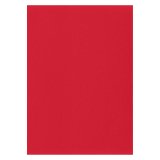 Etiquettes couleurs 210 x 297 mm - Boîte de 100