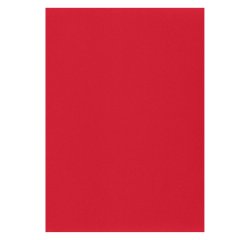 Etiqueta para inkjet y láser 210 x 297 mm color brillante - Caja de 100