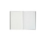 Carnet Manifold Le Dauphin autocopiant 10,5 x 14,8 cm 50 pages triple exemplaires