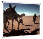 Ecran de projection mural manuel Oray 150 x 150