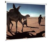 Ecran de projection mural manuel Oray 150 x 150