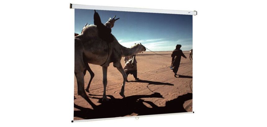 Pantalla de proyección manual para montaje en pared Oray 150 x 150