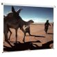 Ecran de projection mural manuel Oray 150 x 150