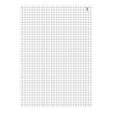 Manifold Exacompta 3240E - 50 pages 10,5 x 14,8 cm Duplicata 2 exemplaires
