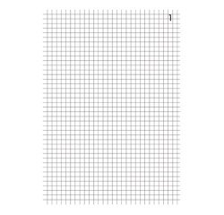 Manifold Exacompta 3240E - 50 pages 10,5 x 14,8 cm Duplicata 2 exemplaires