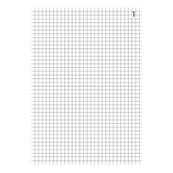Manifold Exacompta 3240E - 50 pages 10,5 x 14,8 cm Duplicata 2 exemplaires