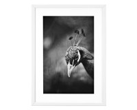 Cadre Profil blanc 50 x 70 cm