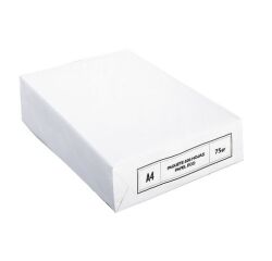 Papel blanco A4 75 g Ecocopy - paquete de 500 hojas