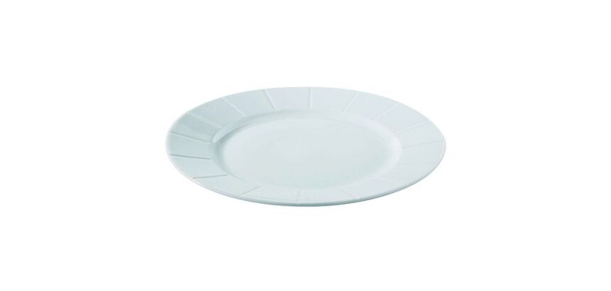 Assiettes plates 26,5 cm carton de 6.