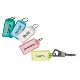 Keychain assorted translucent colours - Box of 50