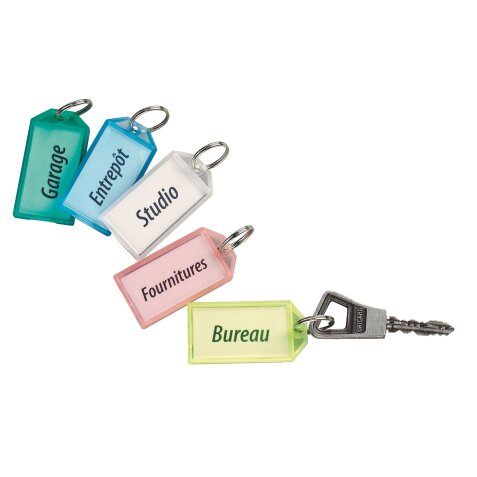 Porte-clés couleurs assorties translucides - Boîte de 50