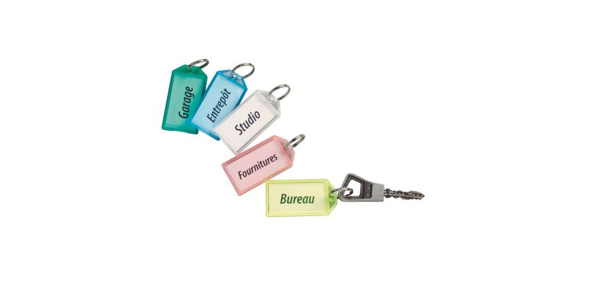 Porte-clés couleurs assorties translucides - Boîte de 50