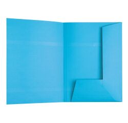 Carpeta de 2 solapas Esselte, 23 x 31 cm- Paquete de 100