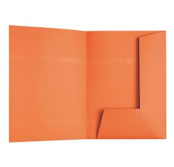Carpeta de 2 solapas Esselte, 23 x 31 cm- Paquete de 100