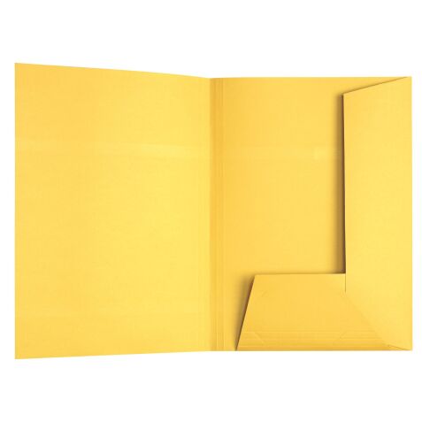 Carpeta de 2 solapas Esselte, 23 x 31 cm- Paquete de 100