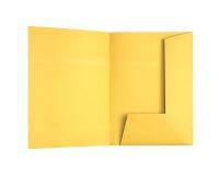 Carpeta de 2 solapas Esselte, 23 x 31 cm- Paquete de 100