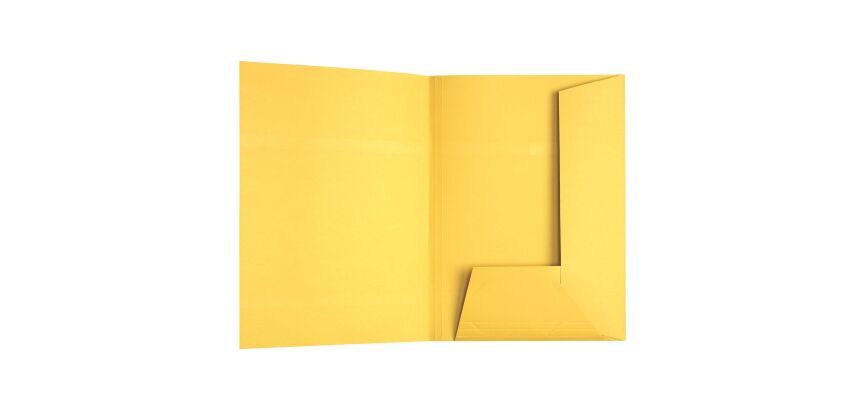 Sous-dossier kraft dossier suspendu 2 rabats Esselte 23 x 31 cm - Carton de 100