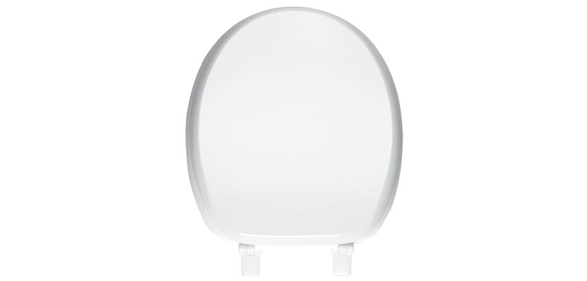 Toilet seat laquered wood