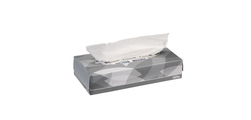 Mouchoirs double épaisseur Kleenex - Boîte de 100