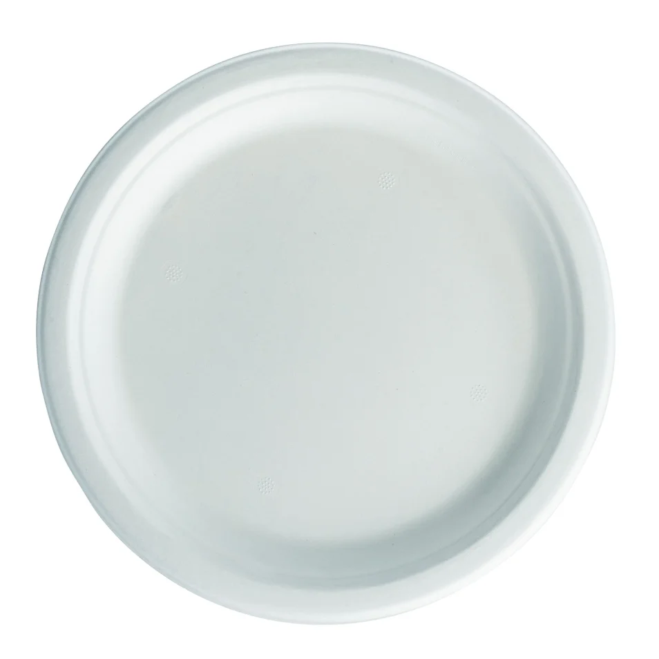 Lot 4 Assiettes Plates porcelaine blanche et palmiers blancs