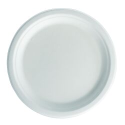 Assiette blanche - lot de 50