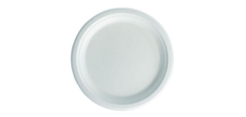 Assiette blanche - lot de 50