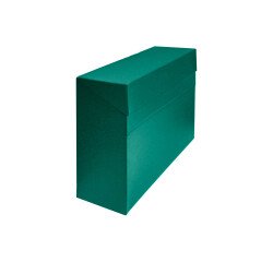 Caja de transferencia Milskin Folio fondo normal lomo 11 cm