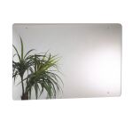 Miroir pour sanitaires Ora Rossignol acrylique