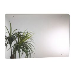 Spiegel voor toiletruimtes Rossignol acryl