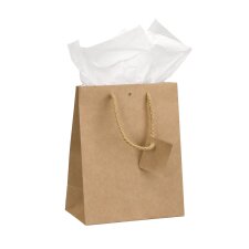 Box of 10 brown shopping bags with cord handles 23 x 18 x 10 cm