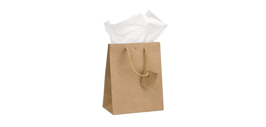 Box of 10 brown shopping bags with cord handles 23 x 18 x 10 cm