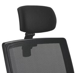 Cabecera Bruneau Activ'