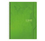 Cahier spirale Calligraphe 17 x 22 cm - petits carreaux - 180 pages