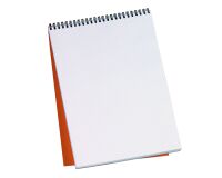 Schreibblock Rhodia orange Spirale 80 Seiten 5 x 5 n°18 Format 21 x 29,7 cm