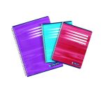 Cahier spirale Calligraphe A4 21 x 29,7 cm petits carreaux 180 pages