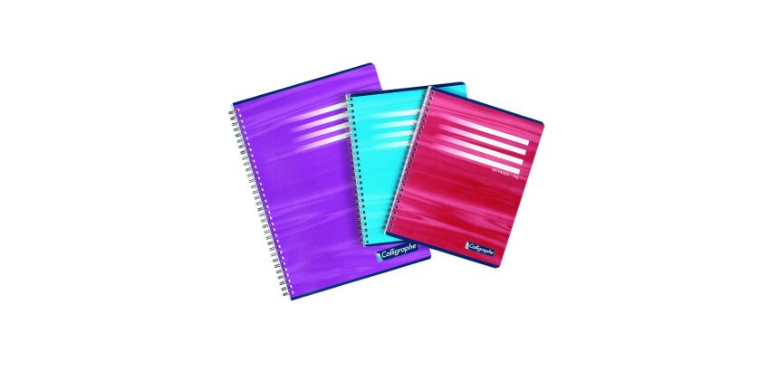 Cahier spirale Calligraphe A4 21 x 29,7 cm petits carreaux 180 pages