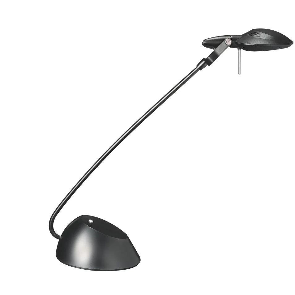 Lampe de bureau à LED 5 Niveaux de Luminosité Ajustable avec base
