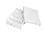 Boîte de rangement carton Leitz Click&Store Wow avec séparateurs H 10,5 x L 27,8 x P 36,8 cm couleur