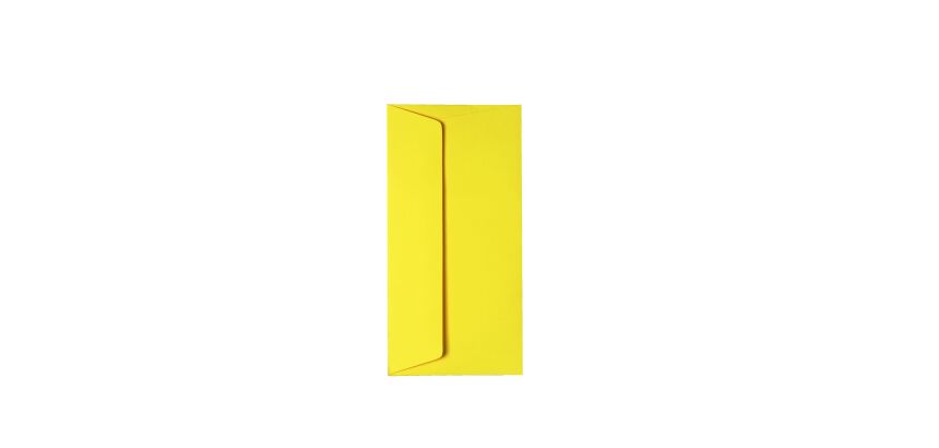 Enveloppe 110 x 220 mm Pollen Clairefontaine 120 g sans fenêtre de couleurs - Paquet de 20
