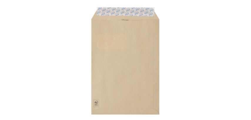 Box containing 500 envelopes GPV Green 85 g - 229x324 mm with 50x110 mm window